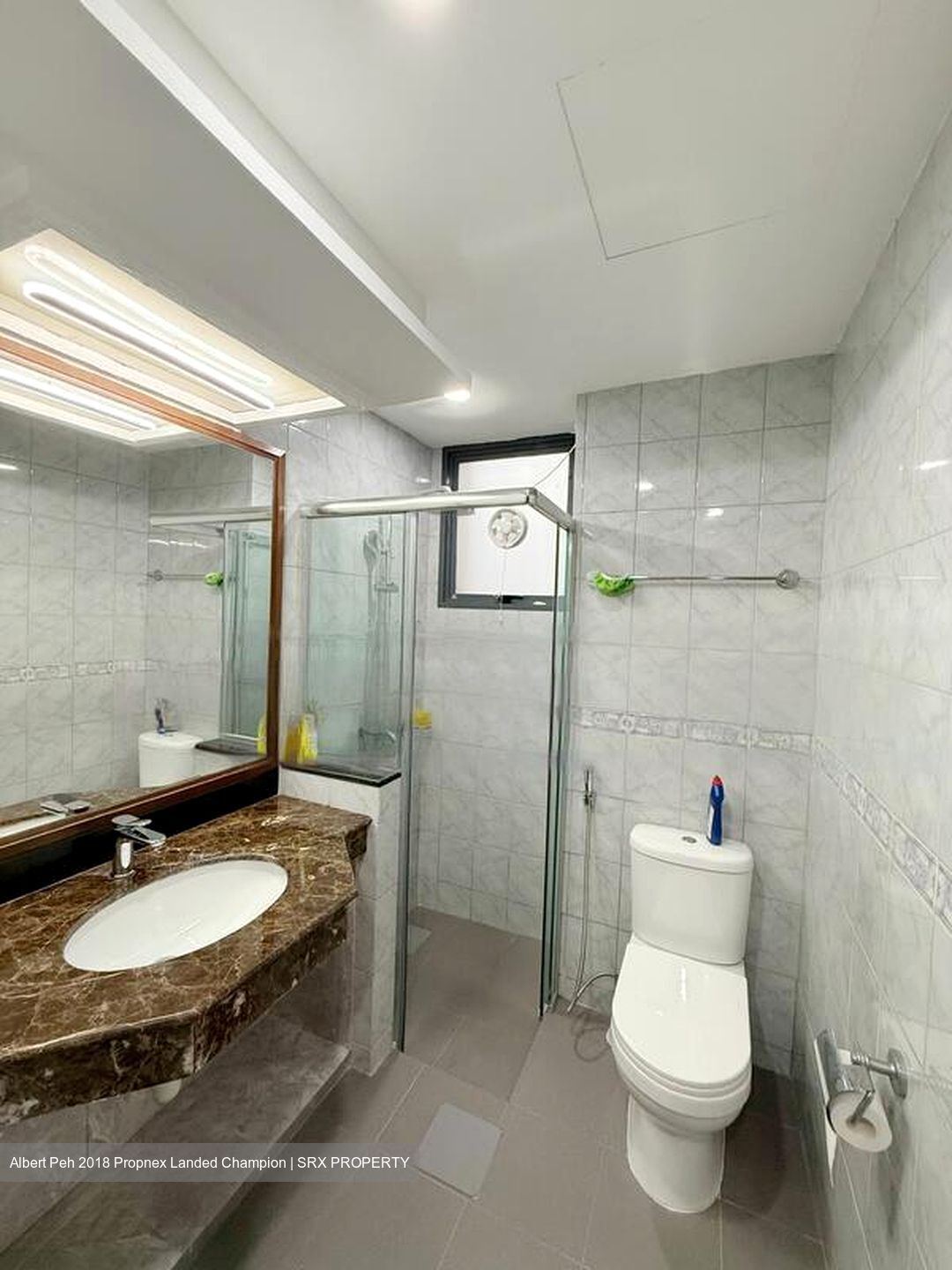 Carissa Park Condominium (D17), Condominium #486398971